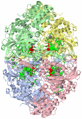 Image Asym./Biol. Unit - sites