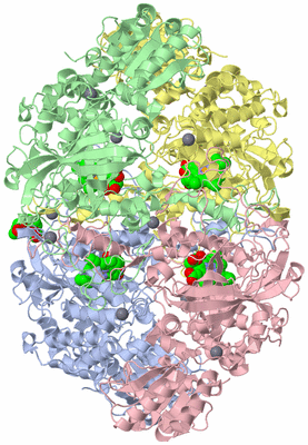 Image Asym./Biol. Unit