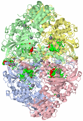 Image Asym./Biol. Unit - sites