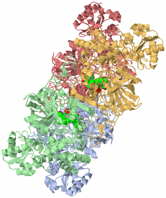 Image Biological Unit 1