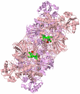 Image Biological Unit 2