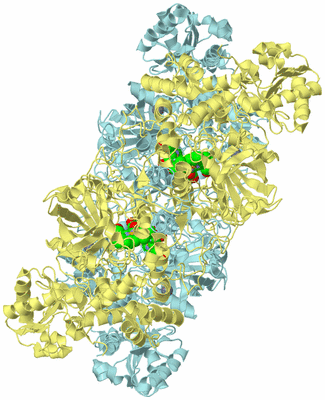 Image Biological Unit 3