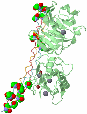 Image Biological Unit 2