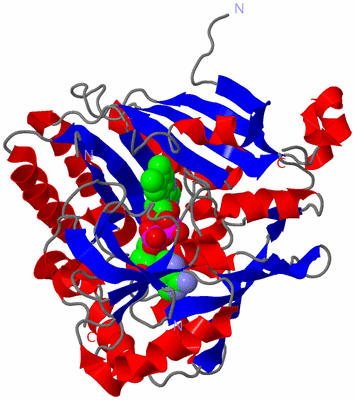 Image Asym./Biol. Unit