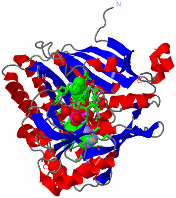 Image Asym./Biol. Unit - sites