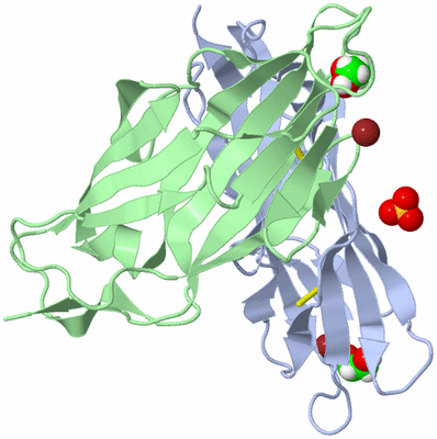 Image Asym./Biol. Unit