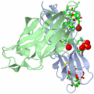 Image Asym./Biol. Unit - sites