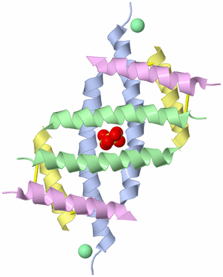 Image Biological Unit 1