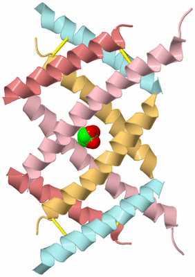 Image Biological Unit 2