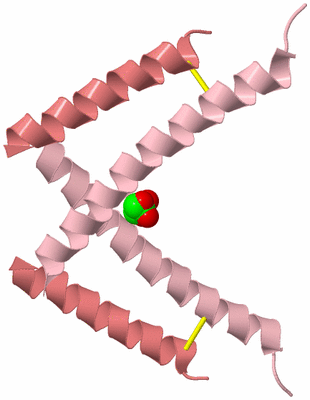 Image Biological Unit 3