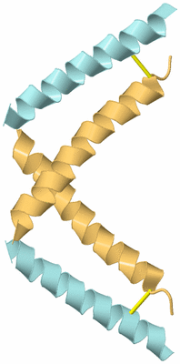 Image Biological Unit 4