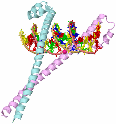 Image Biological Unit 2