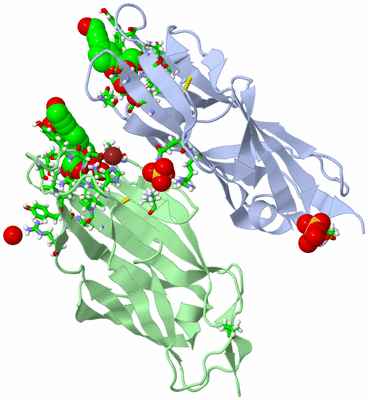 Image Biol. Unit 1 - sites