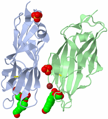 Image Biological Unit 2