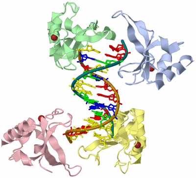 Image Asym./Biol. Unit