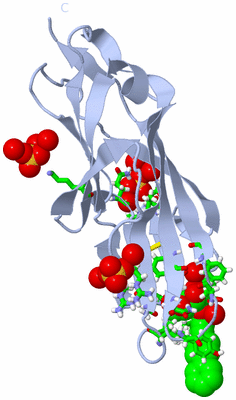 Image Biol. Unit 1 - sites