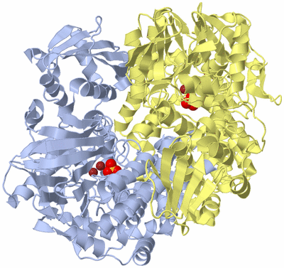 Image Biological Unit 1