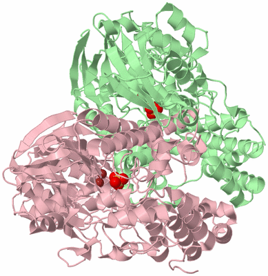 Image Biological Unit 2