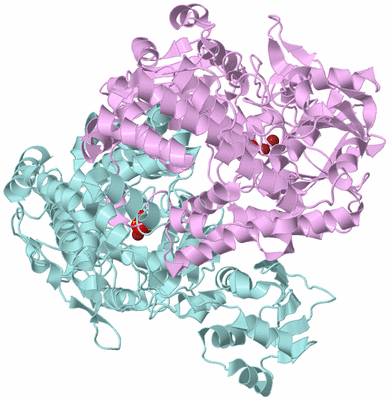 Image Biological Unit 3