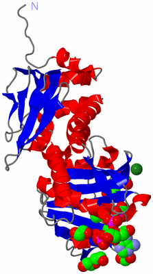 Image Asym./Biol. Unit