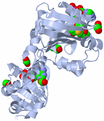 Image Biological Unit 1