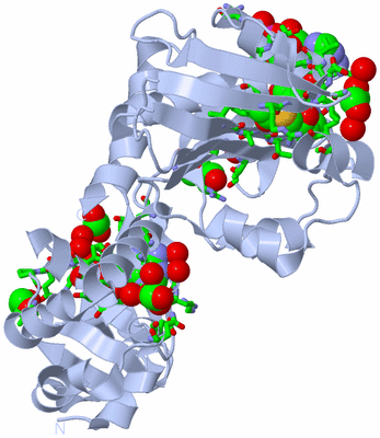 Image Biol. Unit 1 - sites