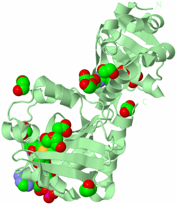 Image Biological Unit 2