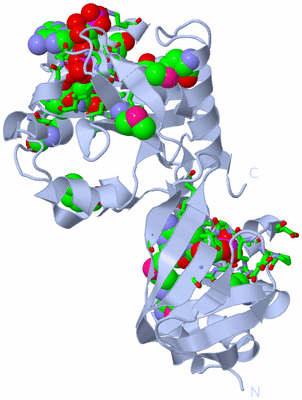 Image Biol. Unit 1 - sites