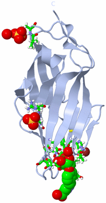 Image Biol. Unit 1 - sites