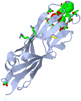 Image Biol. Unit 1 - sites