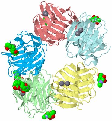 Image Biological Unit 2