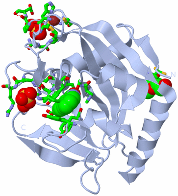 Image Biol. Unit 1 - sites