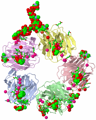 Image Asym./Biol. Unit - sites