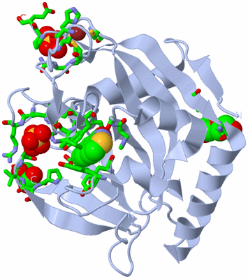 Image Biol. Unit 1 - sites