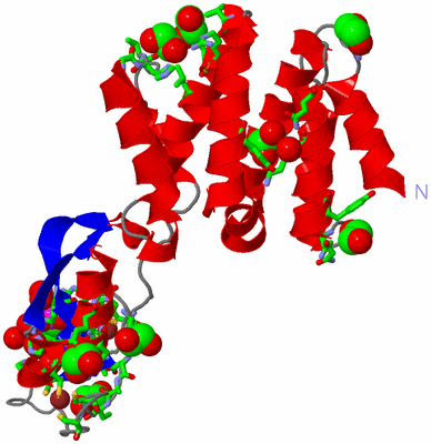 Image Asym./Biol. Unit - sites