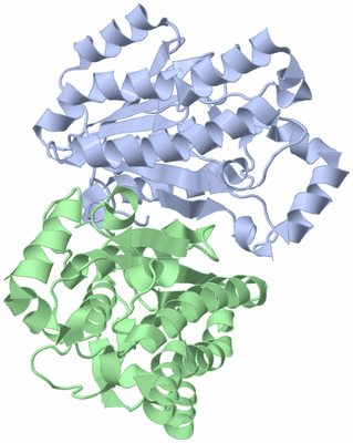 Image Asym./Biol. Unit