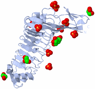 Image Biological Unit 1