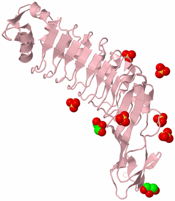 Image Biological Unit 3