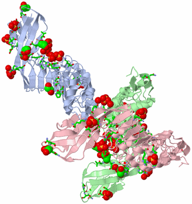 Image Asym. Unit - sites