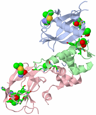 Image Biol. Unit 1 - sites