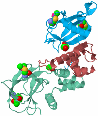 Image Biological Unit 4