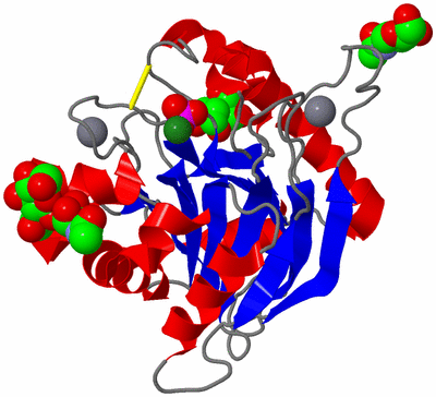 Image Asym./Biol. Unit