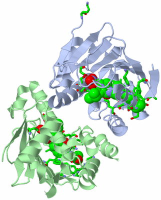 Image Asym./Biol. Unit - sites