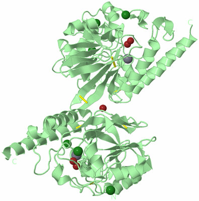 Image Biological Unit 1