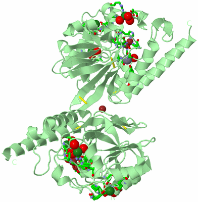 Image Biol. Unit 1 - sites