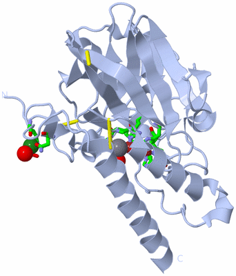 Image Biol. Unit 1 - sites