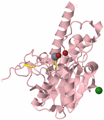 Image Biological Unit 3