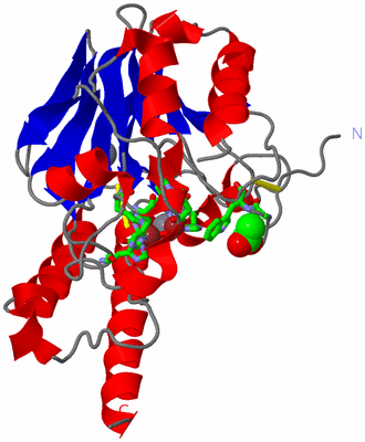 Image Asym./Biol. Unit - sites