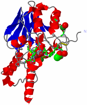 Image Asym./Biol. Unit - sites