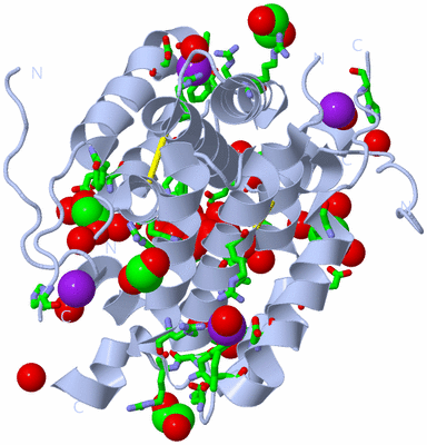 Image Biol. Unit 1 - sites